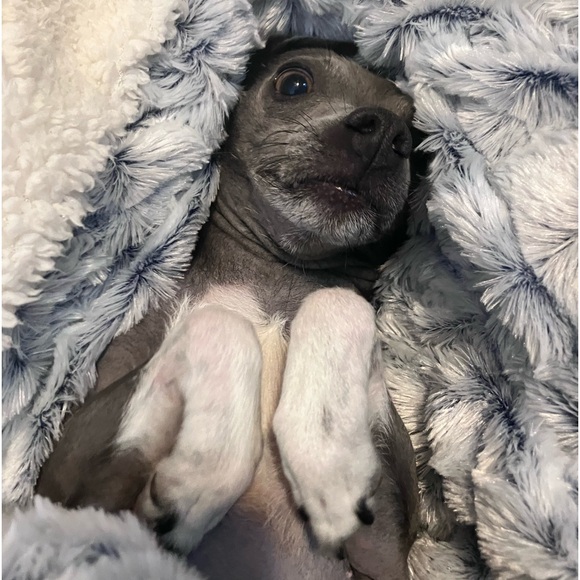 Meet your Posher, Sarah - Picture 6 of 17